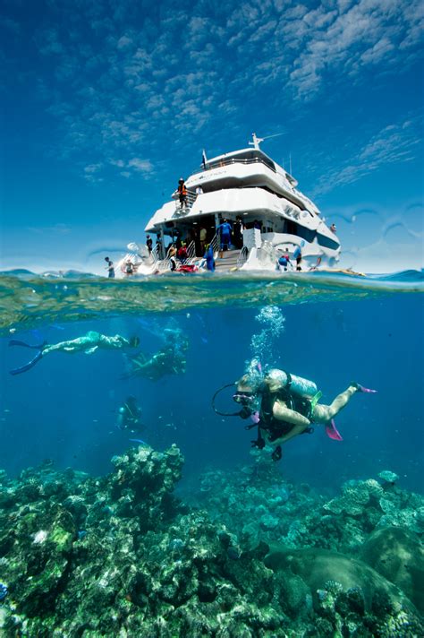 Great barrier reef tours. Things To Know About Great barrier reef tours. 